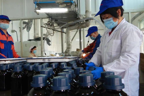 感恩前行 光華科技，不止于中國精細化工50強，深耕生物化工產(chǎn)品技術(shù)研發(fā)