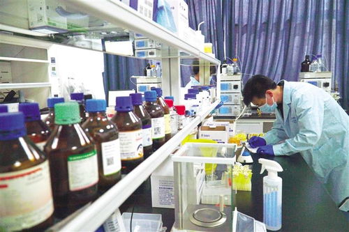 蘭州高新區 以項目化工程化推動生物醫藥產業升級，加速打造百億級生物化工產業園區