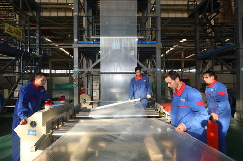 PBAT型生物降解地膜產品研發 生物化工技術創新引領綠色農業未來